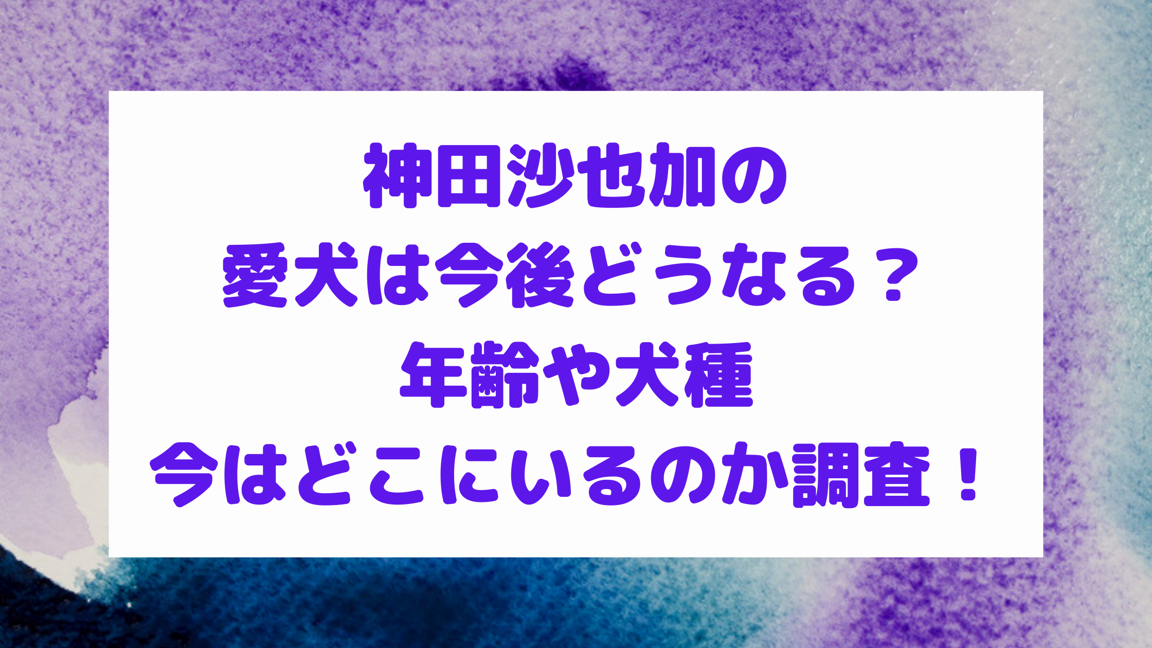 神田沙也加の愛犬は今後どうなる 年齢や犬種 今はどこにいるのか調査 エンタマルシェ 神田沙也加の愛犬は今後どうなる 年齢や犬種 今はどこにいるのか調査 エンタマルシェ